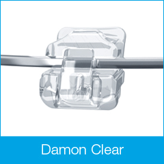 Damon Clear Bracket Damon Clear Bracket